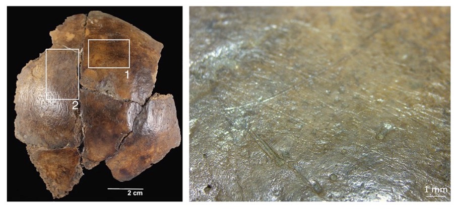 Macintosh HD:Users:FEC:Desktop:Figura 15.jpg