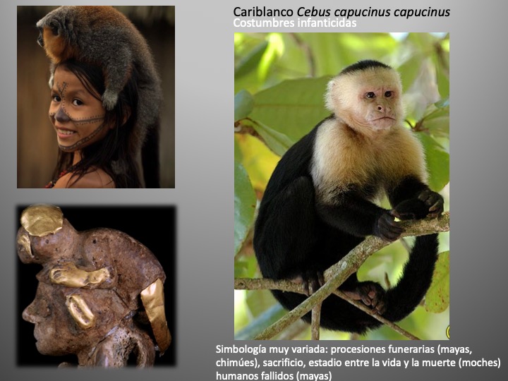 Diapositiva1